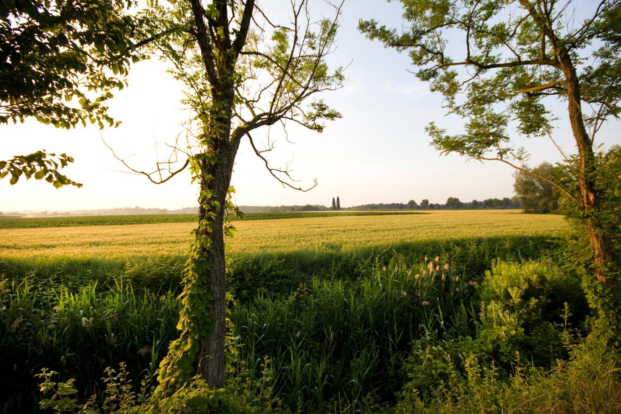 Agriturismo Cascina Roveri Monzambano Kültér fotó